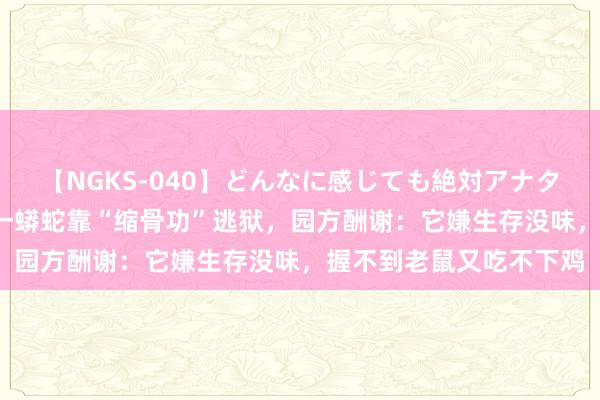 【NGKS-040】どんなに感じても絶対アナタ目線 春野さくら 福建一蟒蛇靠“缩骨功”逃狱，园方酬谢：它嫌生存没味，握不到老鼠又吃不下鸡