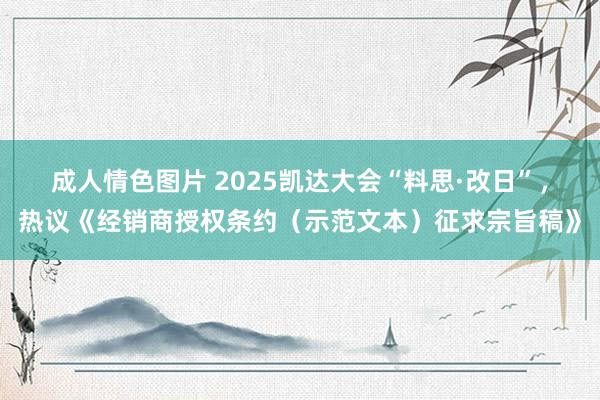 成人情色图片 2025凯达大会“料思·改日”，热议《经销商授权条约（示范文本）征求宗旨稿》