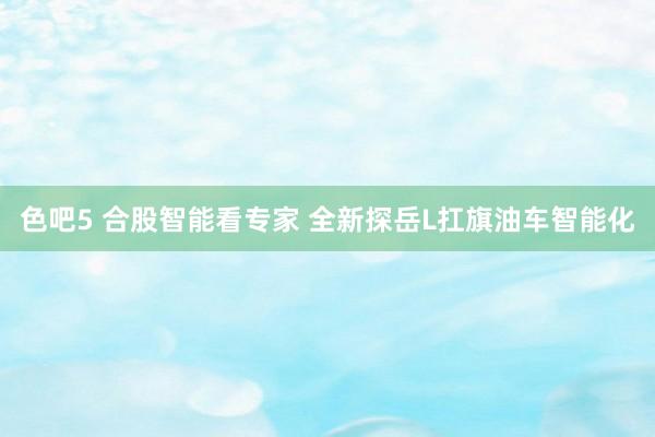 色吧5 合股智能看专家 全新探岳L扛旗油车智能化